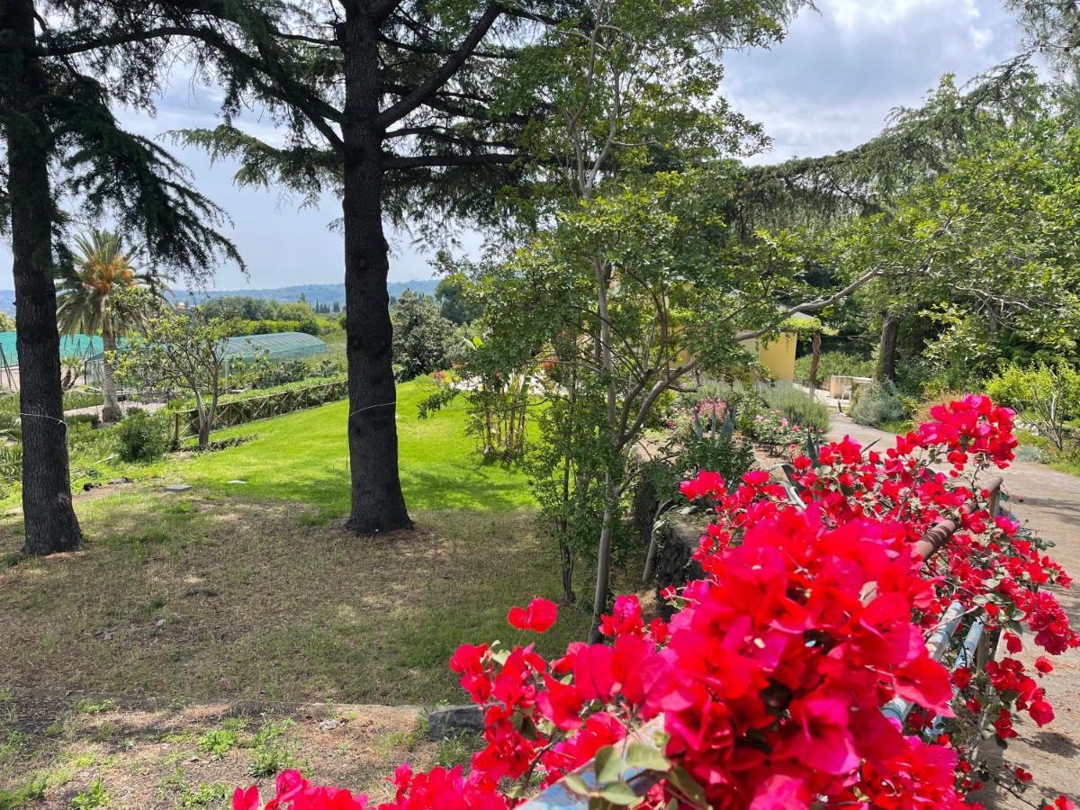 Villa Palm Hill Piedimonte Etneo Εξωτερικό φωτογραφία