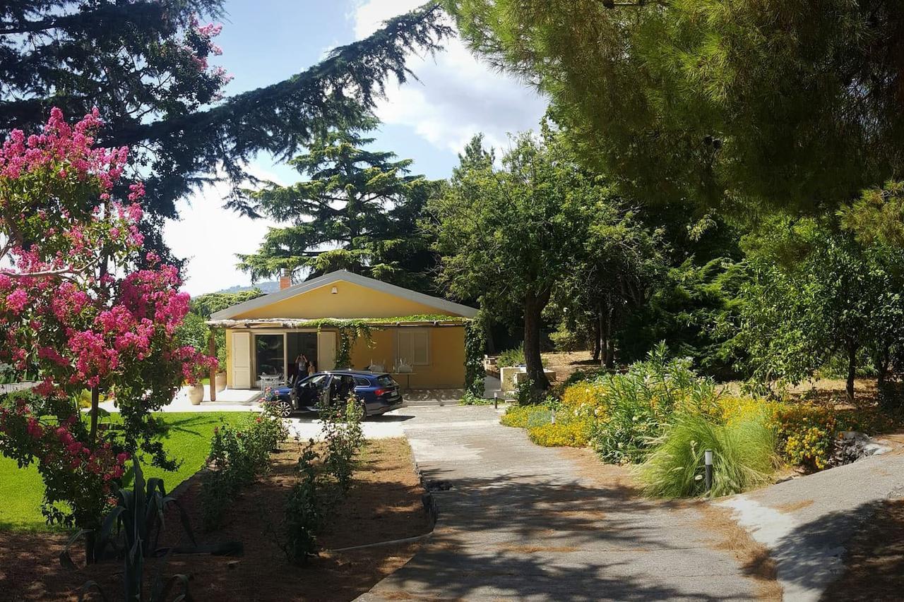 Villa Palm Hill Piedimonte Etneo Εξωτερικό φωτογραφία