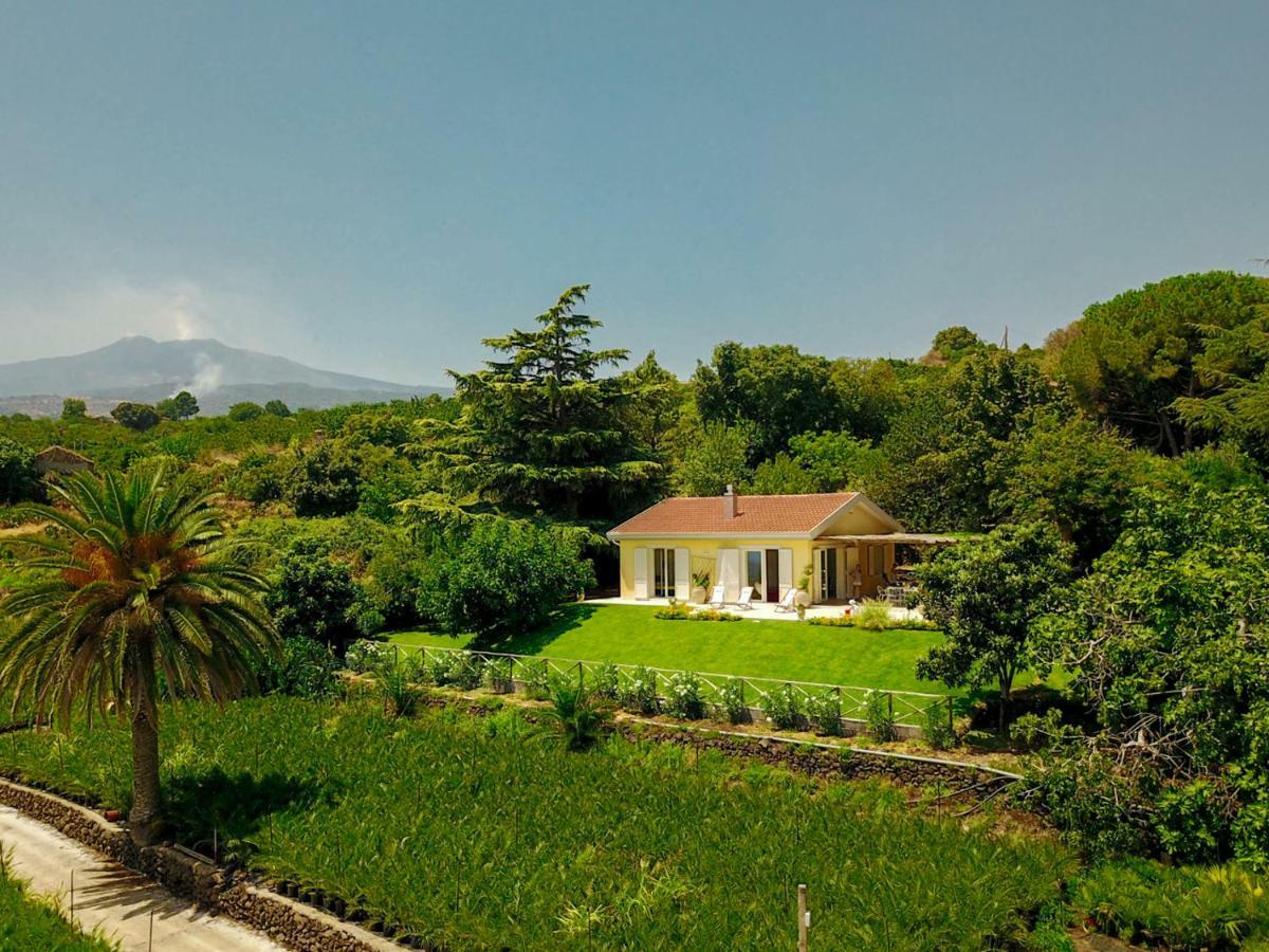 Villa Palm Hill Piedimonte Etneo Εξωτερικό φωτογραφία